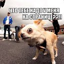 ���� ������, ����, 37 ��� - ��������� 4 ����� 2016 � ������ ������ ��������