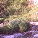 ���� �����, ������ - ��������� 22 ������� 2015 � ������ ���� ����������