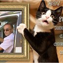 ���� ����, �������, 50 ��� - ��������� 2 ����� 2016