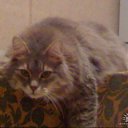 ���� �������, ������, 67 ��� - ��������� 16 ������� 2015