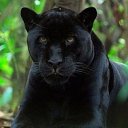 ���� ������, �������������� , 52 ���� - ��������� 10 ������� 2015 � ������ ������ ��������