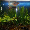���� Olezhka***, ����, 65 ��� - ��������� 25 ������� 2015 � ������ ���� ����������