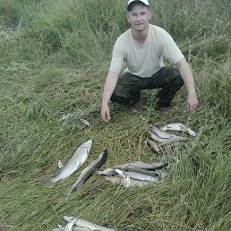 ���� Rodnap, �������, 51 ��� - ��������� 19 ������� 2015