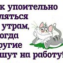 ���� ������, �����-���������, 41 ��� - ��������� 12 ������ 2016 � ������ ���� ����������