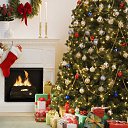 ���� �����, ������, 44 ���� - ��������� 3 ������ 2016 � ������ ������ ��������