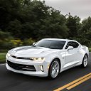 ���� ������, ���, 46 ��� - ��������� 20 ������ 2016 � ������ ���� ����������