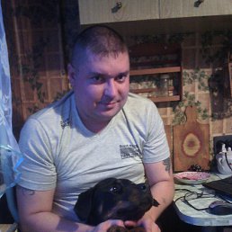 ����, ������, 43 ����