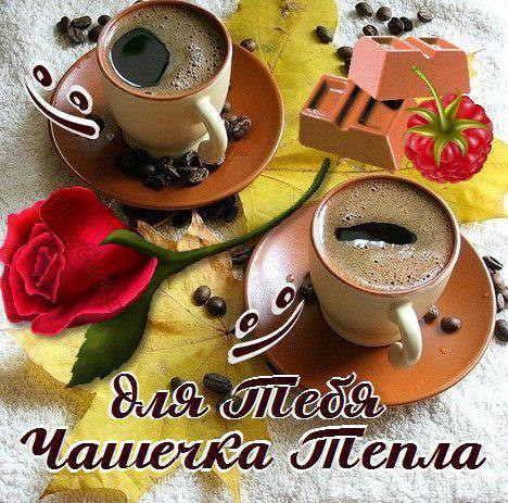 �������� ����������!!!!!!!!!!!!!! ������������ � ������ ���������!!! ...