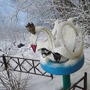 ���� ������, ��������, 62 ���� - ��������� 21 ������ 2016 � ������ ���� ����������