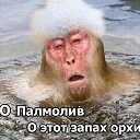 ���� �������, ����������, 45 ��� - ��������� 4 ����� 2016 � ������ ������ ��������