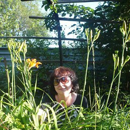 ���� �����, ���������, 49 ��� - ��������� 27 ������ 2016