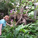 �������� �� ������� ������ ��������