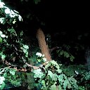 ���� �����, �����-��������� - ��������� 28 ������� 2016 � ������ ������ ��������