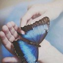 ���� �������, �������, 42 ���� - ��������� 8 ������ 2015 � ������ ������ ��������
