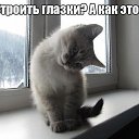���� ����, ������, 46 ��� - ��������� 4 ������ 2015 � ������ ������ ��������