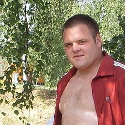 �������, ������ ��������, 37 ���