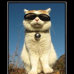 ����, ���������, 28 ���