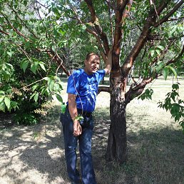 ������, ��������, 54 ����