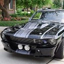 ���� ������, ������ ���, 36 ��� - ��������� 22 ������ 2016 � ������ ������ ��������