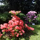 ���� �������, ������, 72 ���� - ��������� 23 ������� 2015 � ������ ���� ����������