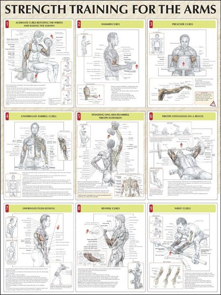 Упражнения на все группы мышц.Добавь себе! Пригодится #тренировка@fitness.blog - 3