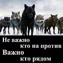 ���� ������, ������, 64 ���� - ��������� 29 ������� 2015 � ������ ���� ����������