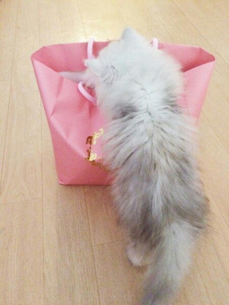 Когда мама забыла купить то, что ты попросил