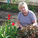 2014�. ������������� ���� �� ������� ���� ����������