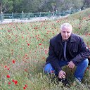 ���� ���������, �����������, 42 ���� - ��������� 14 ������� 2015 � ������ ���� ����������