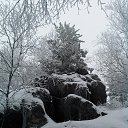 ���� �������, ������������, 37 ��� - ��������� 17 ������� 2015 � ������ ���� ����������