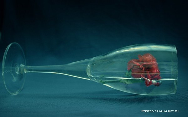 Still Life... George Rustchev - 10