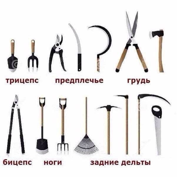 SportFeed - 28  2015  01:04