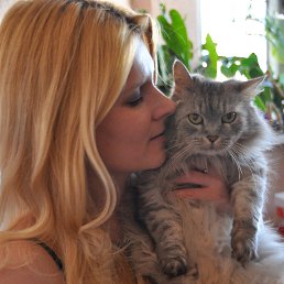 ���� ���, ������ - ��������� 13 ������ 2016