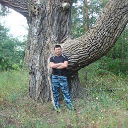 ������, ������, 43 ����