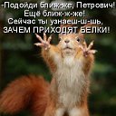 ���� �������, ����, 53 ���� - ��������� 3 ����� 2016 � ������ ���� ����������