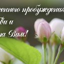 ���� ��������, ������, 59 ��� - ��������� 9 ����� 2016 � ������ �������� ��������