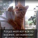 ���� �argo, ������� - ��������� 8 ������� 2015 � ������ ������ ��������