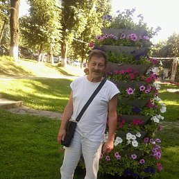 ������, �������, 69 ���