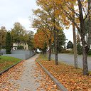 ���� Jyri, ������, 55 ��� - ��������� 18 ������� 2015 � ������ �Viljandi 2015�