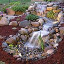 ���� �����, ������������, 47 ��� - ��������� 7 ������ 2015 � ������ ���� ����������