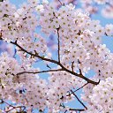 ���� ����, �����-��������� - ��������� 1 ����� 2016 � ������ ������ ��������