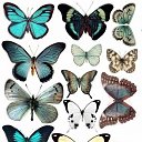  ,  -  18  2016     Ȼ