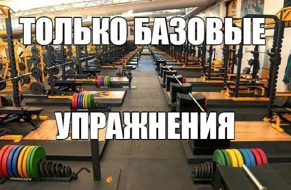 Только базовые упражнения.штанги в наклоне-Тяга штанги в наклоне обратным хватом-Становая тяга-Тяга ...