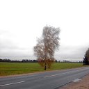  ******, , 53  -  28  2015    