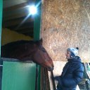 ���� �����, �����-��������� - ��������� 17 ������ 2016 � ������ ������ ��������