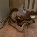 ���� ����, ������, 27 ��� - ��������� 21 ������� 2015 � ������ ���� ���� ������