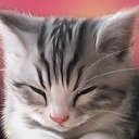 ���� ���, ������, 28 ��� - ��������� 27 �������� 2015 � ������ ���� ����������