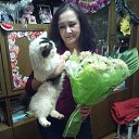  ,  , 52  -  20  2016    