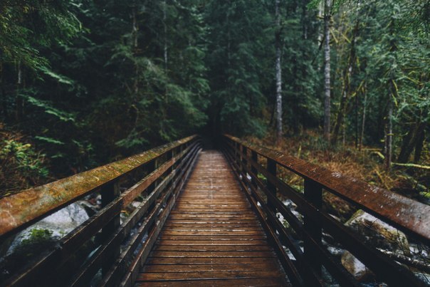 ������ ���� ����� ��, ��� �������� ������������� ���� �����. - 8