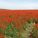 ���� �������, ������, 58 ��� - ��������� 17 ������� 2015